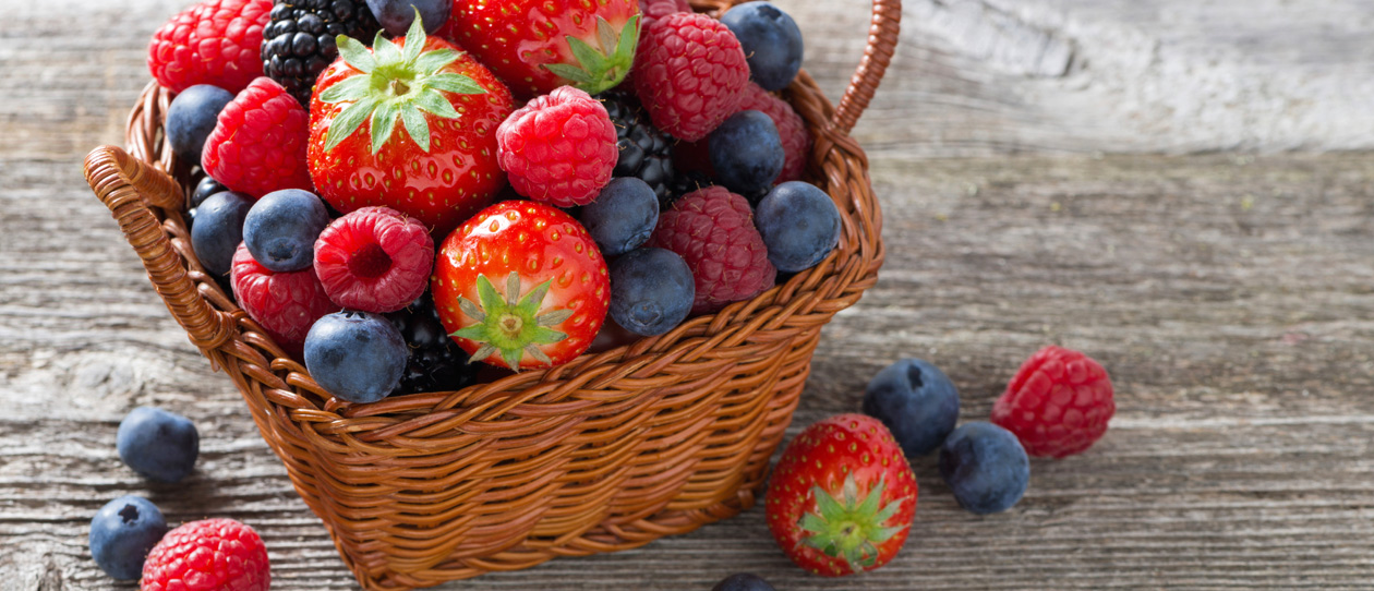 recipe berry slice - Blackmores