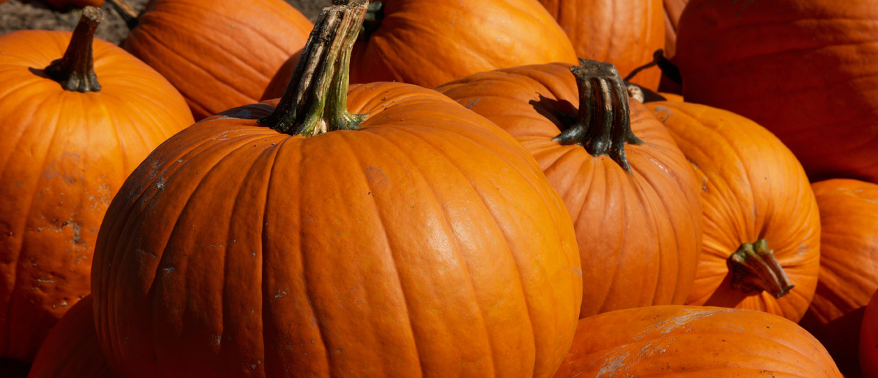 Blackmores recipe pumpkin and mushroom risotto