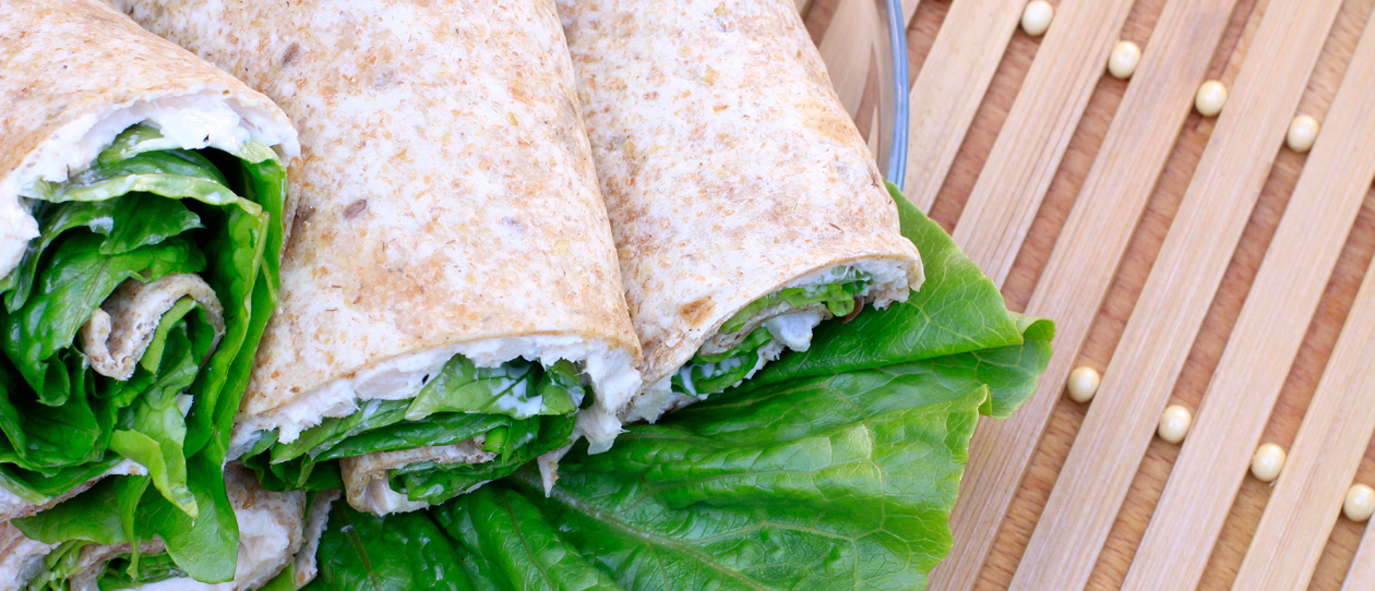 Blackmores recipe tuna tortilla wraps