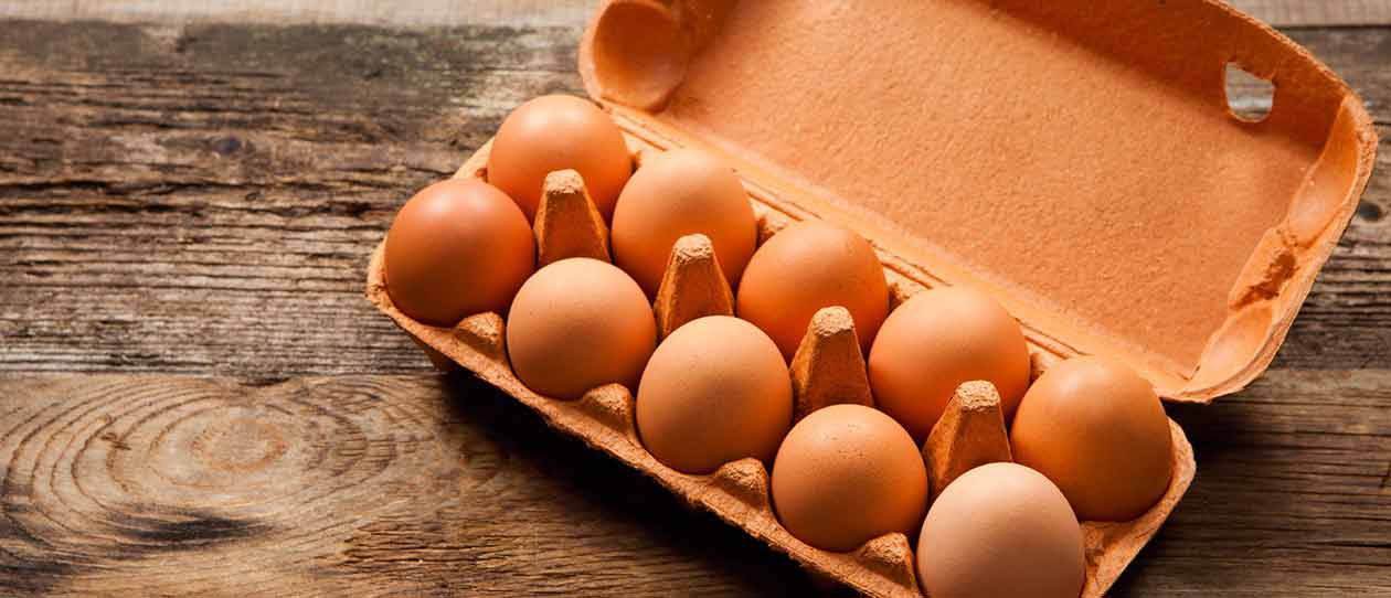 protein-for-breakfast-could-help-with-weight-loss-blackmores